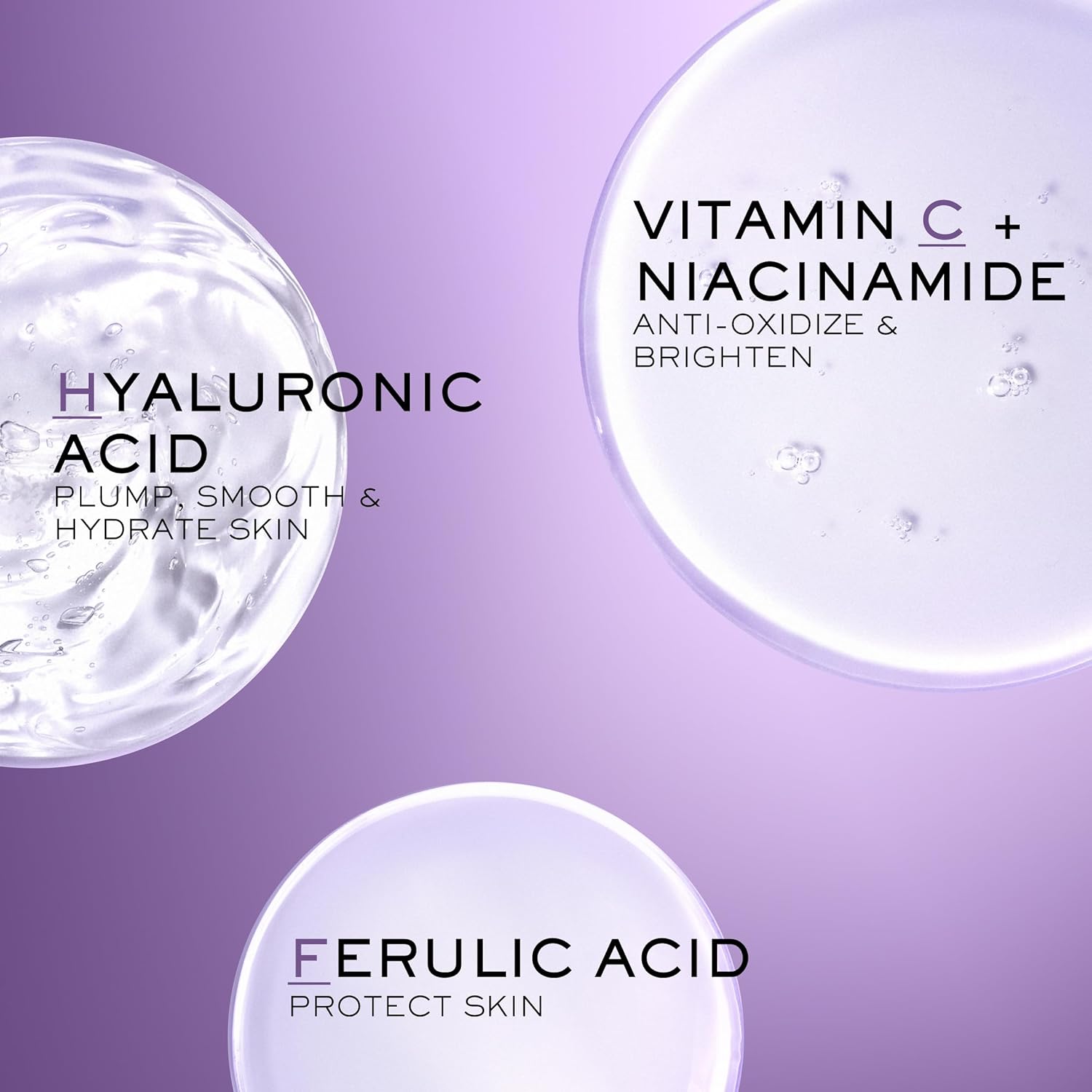 starlight succulent starlight succulent