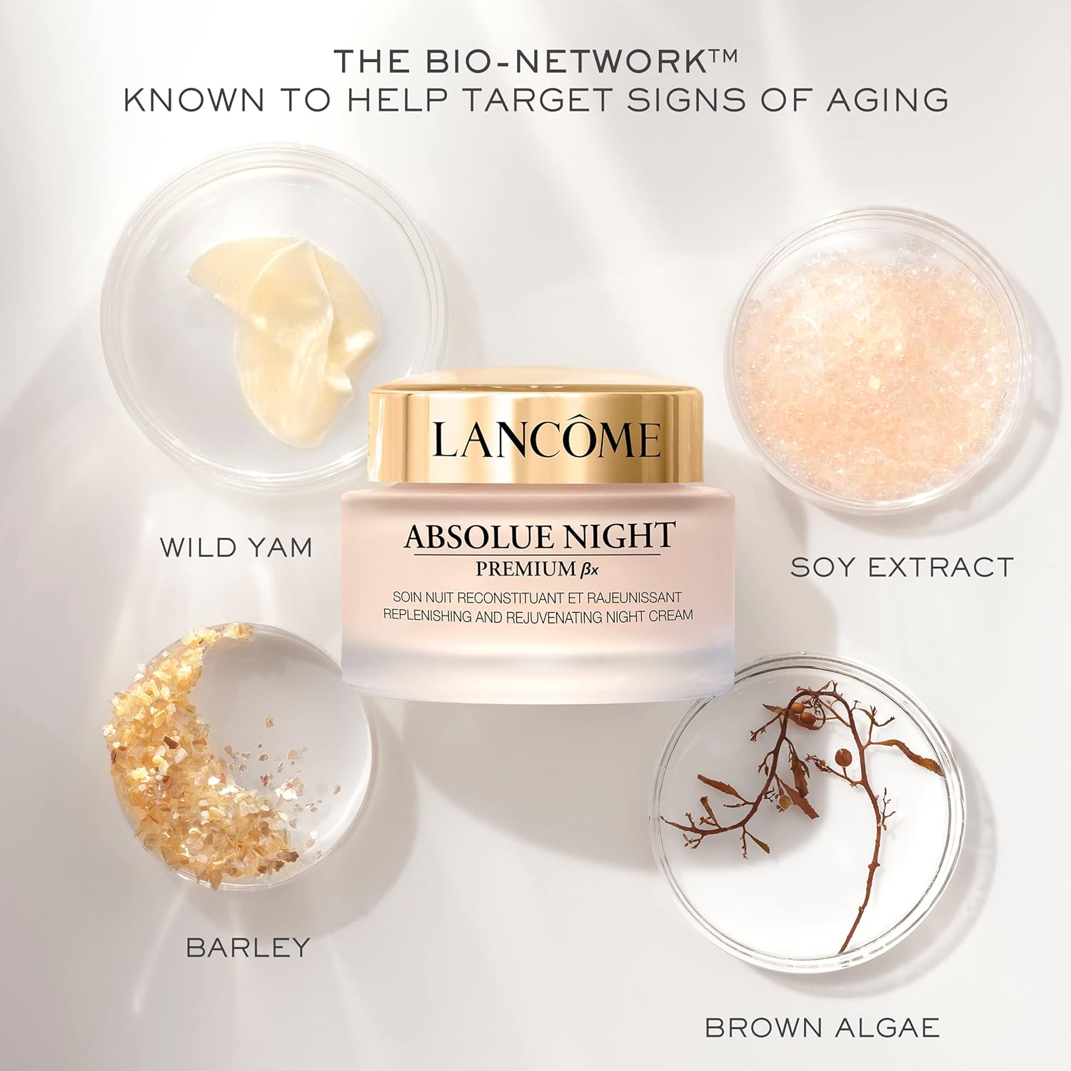 lancôme absolue premium bx night cream lancôme absolue premium bx night cream